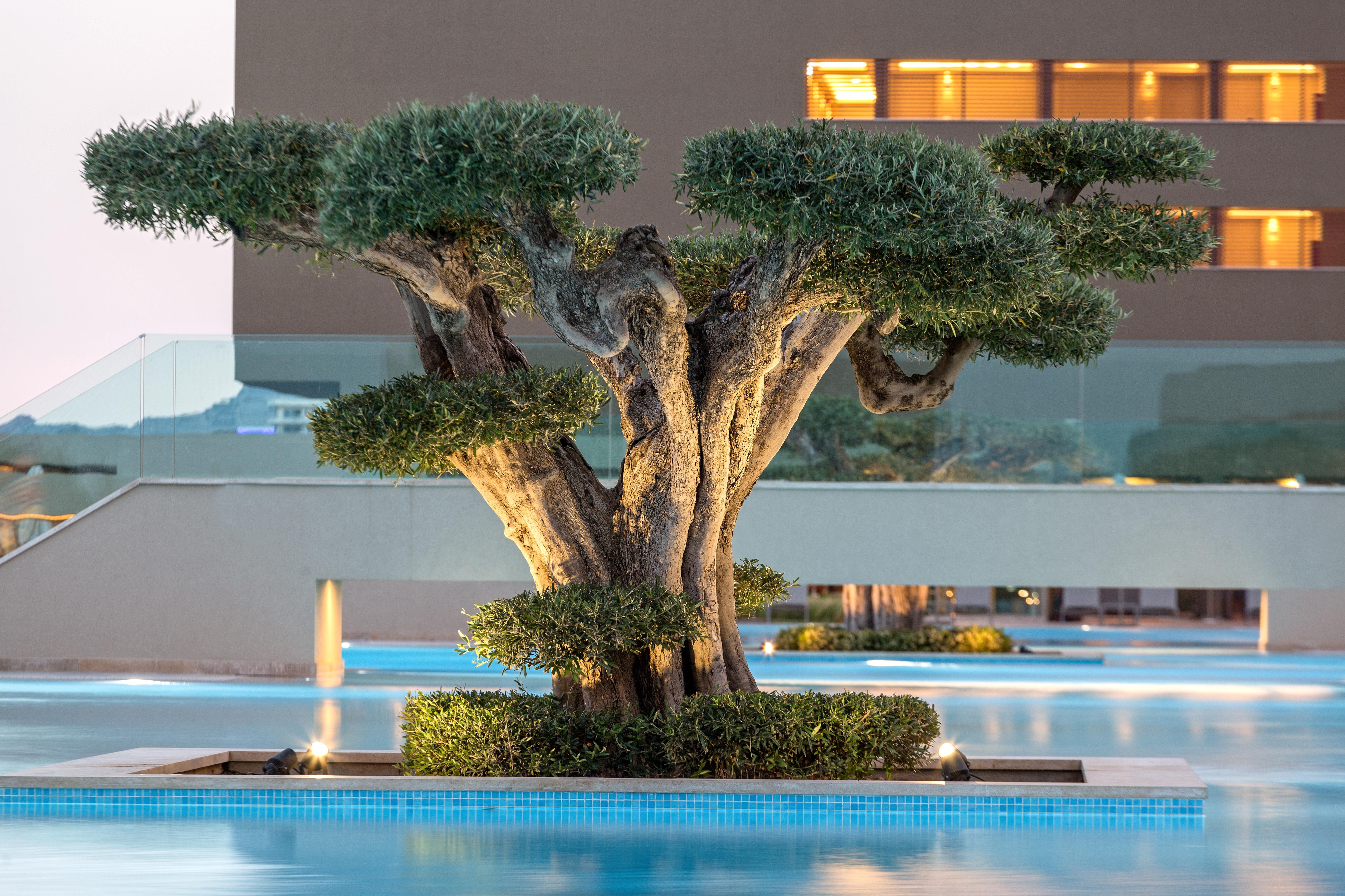 Resort Amada Colossos Resort Faliraki